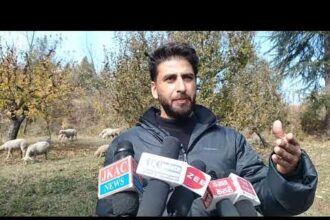 Nouman Dar, anentrepreneur from Handwara, Kupwara.