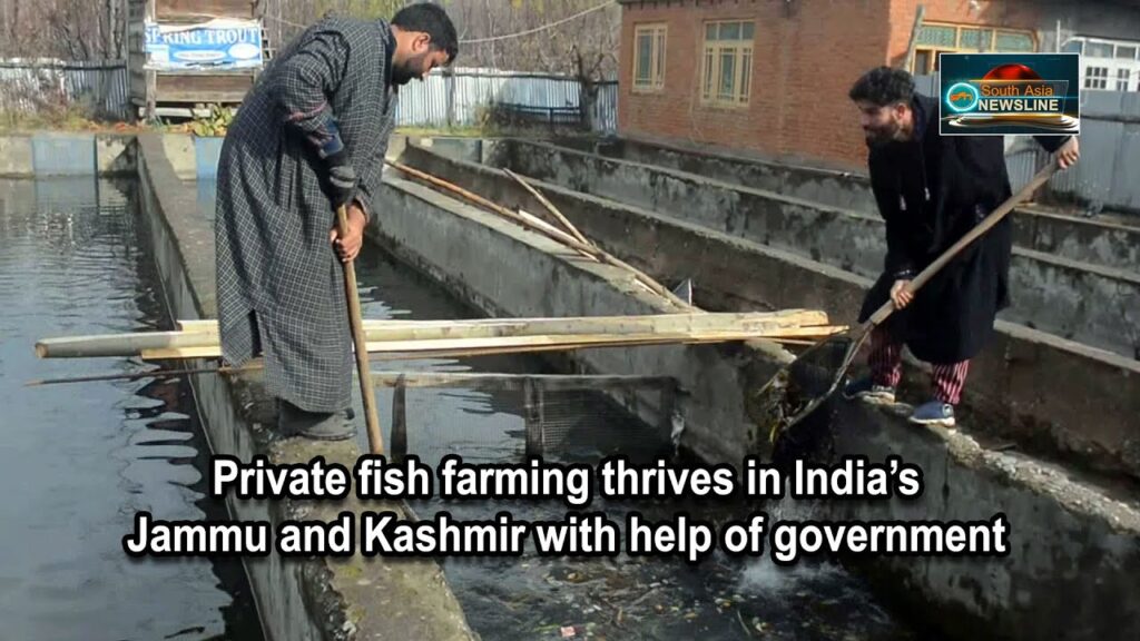 The Aquatic Boom that’s Revolutionizing the Lives of Kashmiri Youth