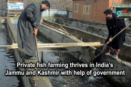 Aquatic boom of Kashmir is revolutionizing the lives of youth.