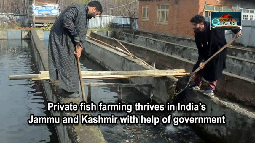 Aquatic boom of Kashmir is revolutionizing the lives of youth.