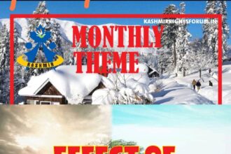 A preview of monthly theme February 2024