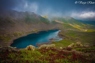 Image of Alpather Lake in Gulmarg that promises an unforgettable experience amidst the majestic Himalayan backdrop.