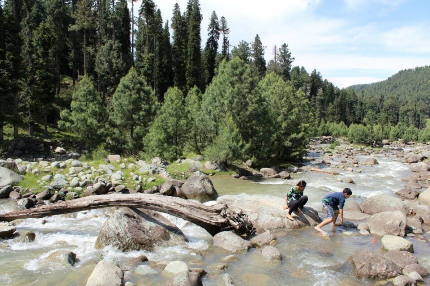 In Pic: Yusmarg, in the heart of Kashmir Valley is not a well-known place but it offers the right mix of peace and adventure.