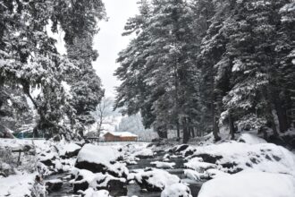 In Pic: A view of Pahalgam captured with snow on all sides.