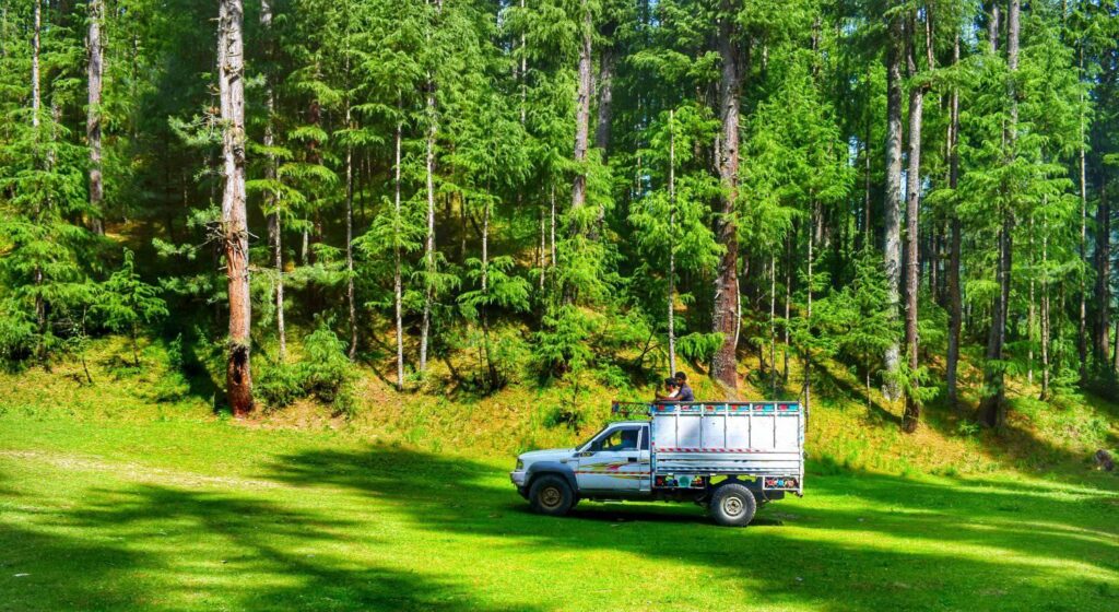 Jammu and Kashmir Leads India in Forest Health and Productivity