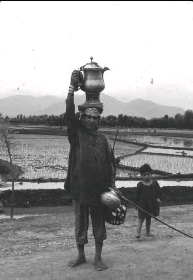 In Pic: traditional Kashmiri Woman with Samovar on her head in farm.