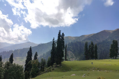 In Pic: Jammu and Kashmir Tourism at Peak