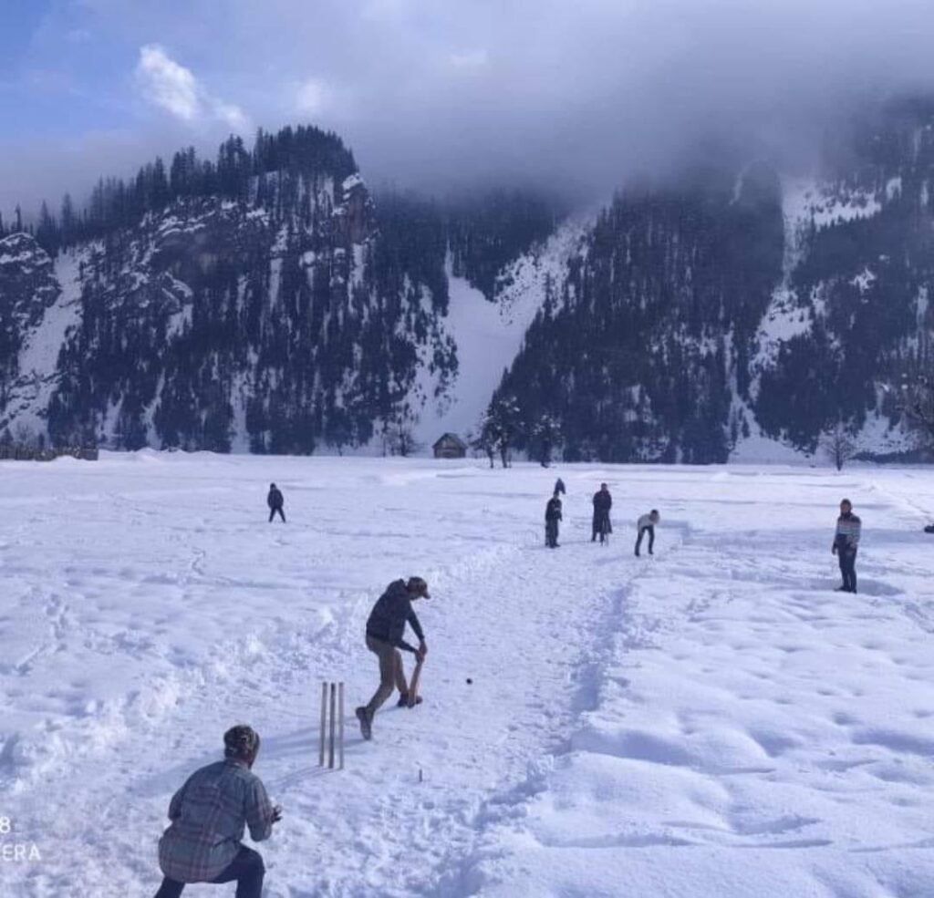 Snow Cricket Brings Life to Isolated Tulail Valley During Harsh Winter