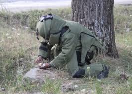 In Pic: Security Forces Detect Suspicious Objects in Shopian and Tral