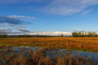 In Pic: Shallabugh Wetland Conservation Reserve in Ganderbal shines