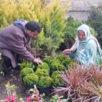 In Pic: Ishfaq Ahmad and his wife Sabiya Mushtaq, a determined couple from Awantipora in Pulwama district, South Kashmir, have blossomed into successful entrepreneurs, turning their backs on the elusive dream of government jobs to cultivate a thriving flower business.