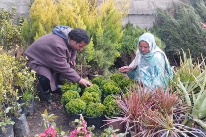 In Pic: Ishfaq Ahmad and his wife Sabiya Mushtaq, a determined couple from Awantipora in Pulwama district, South Kashmir, have blossomed into successful entrepreneurs, turning their backs on the elusive dream of government jobs to cultivate a thriving flower business.